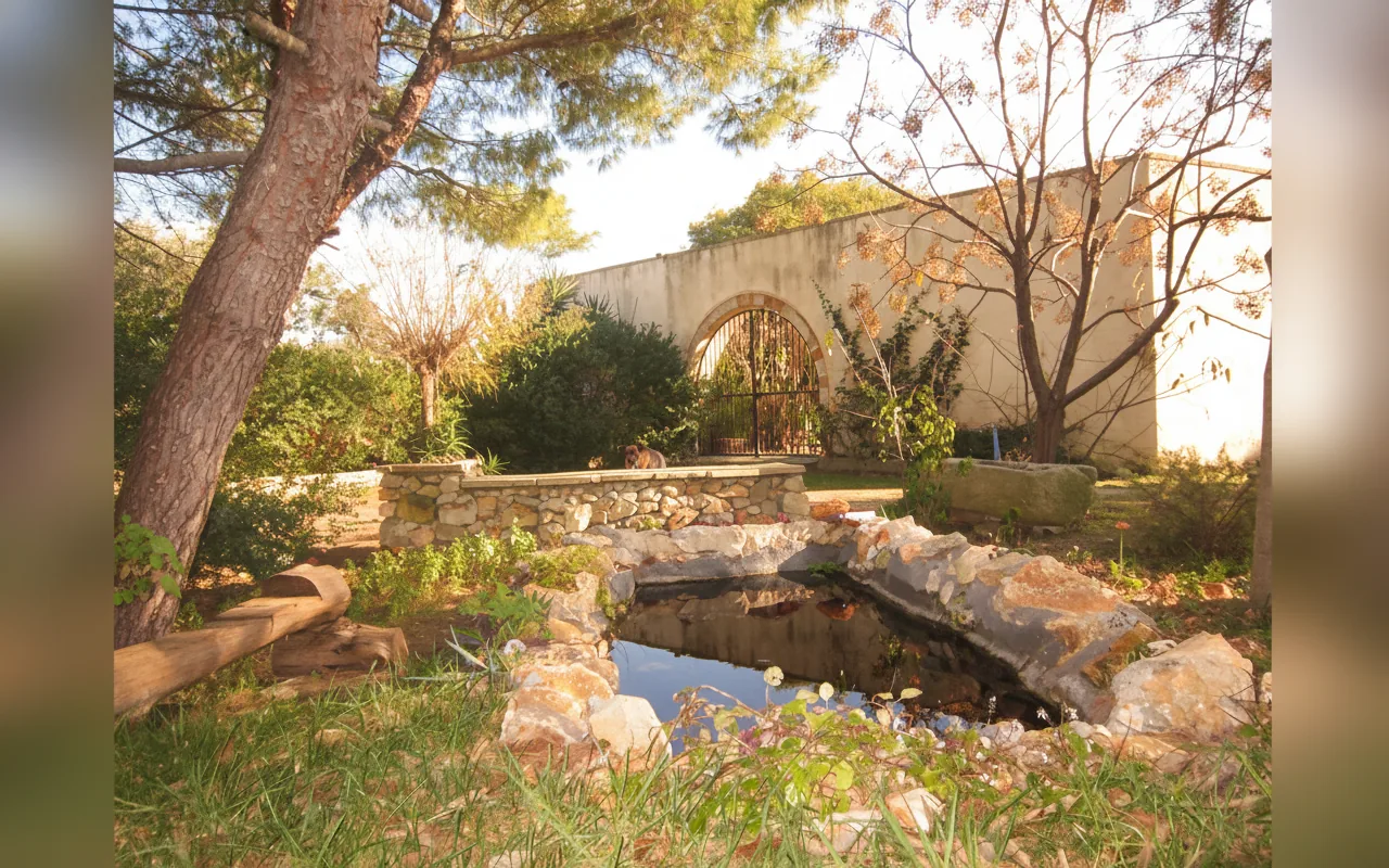 Esterni di Masseria San Vito, COPERTINO (Puglia) (foto 39)